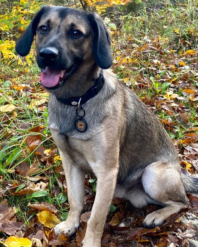 “Zapomněli jsme na Kevina!” 😅 Tak tohle v našem případě neplatí. My na Kevina nezapomněli a Kevin už si svou známku hrdě...